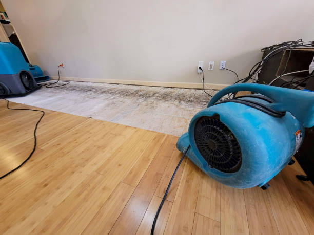 Professional Sewage Cleanup technician working in Hickman, CA